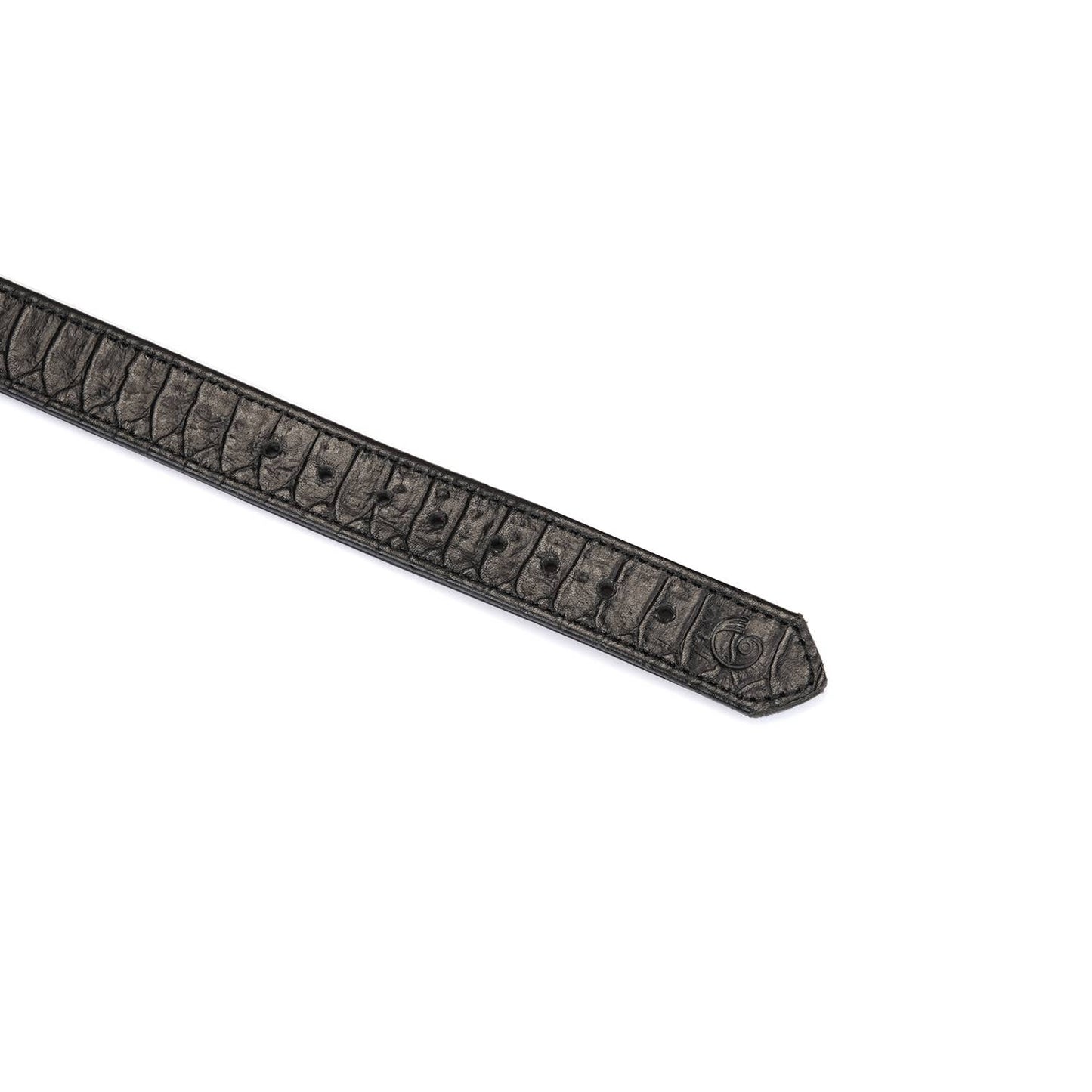 Crocodile Noir: Black Leather Collar with Chain Leash