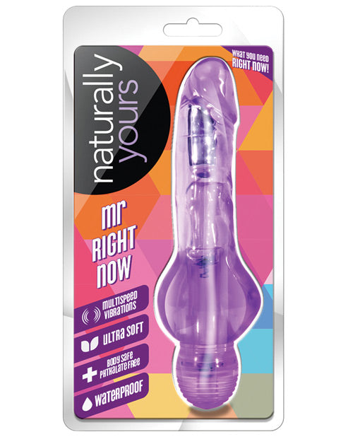 Blush Naturally Yours Mr Right Now by Blush Novelties