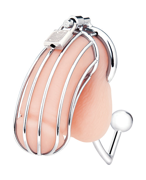 Blue Line Cock Cage w/Anal Stimulator - Silver by Electric Eel INC