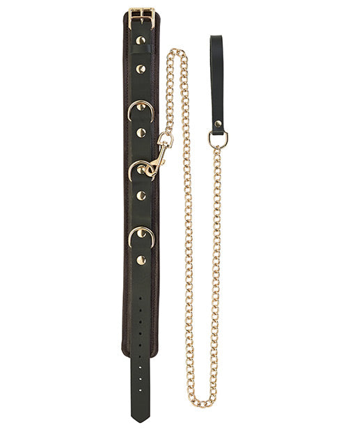 Spartacus Collar & Leash - Brown Leather w/Gold Accent Hardware by Spartacus