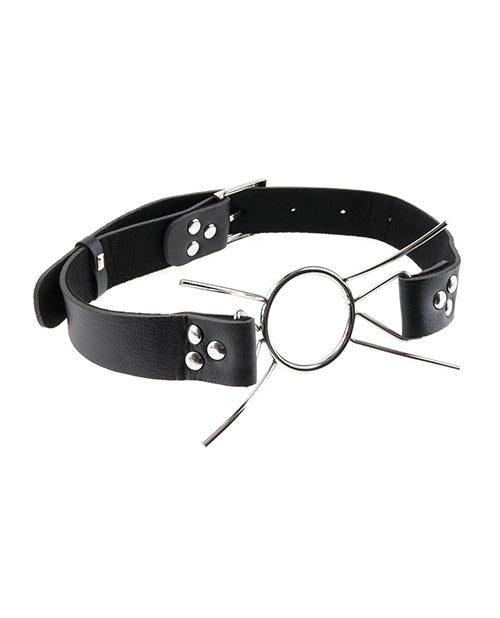 Fetish Fantasy Extreme Spider Gag by Pipedream Products