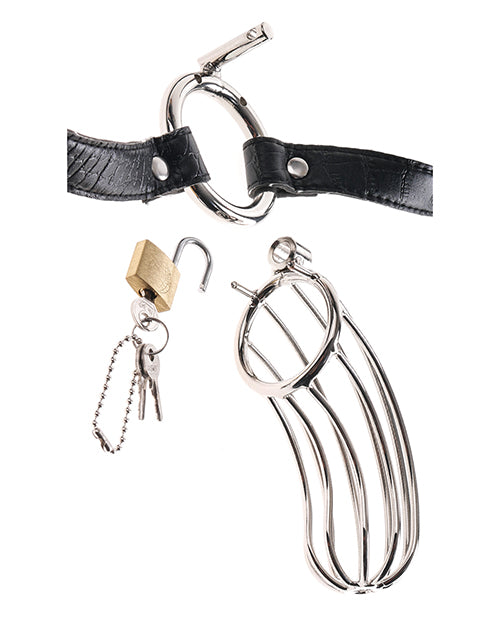 Fetish Fantasy Extreme The Prisoner Metal Cock Cage by Pipedream Products