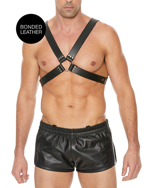 Shots Ouch Men's Large Buckle Harness - Black by Shots America LLC