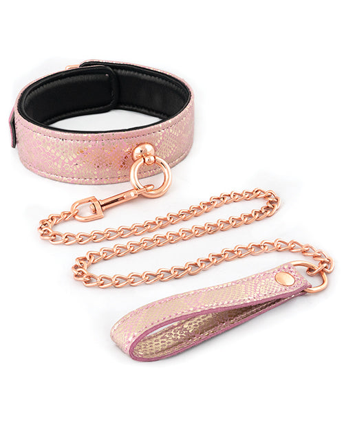 Spartacus Micro Fiber Collar & Leash w/Leather Lining - Pink by Spartacus