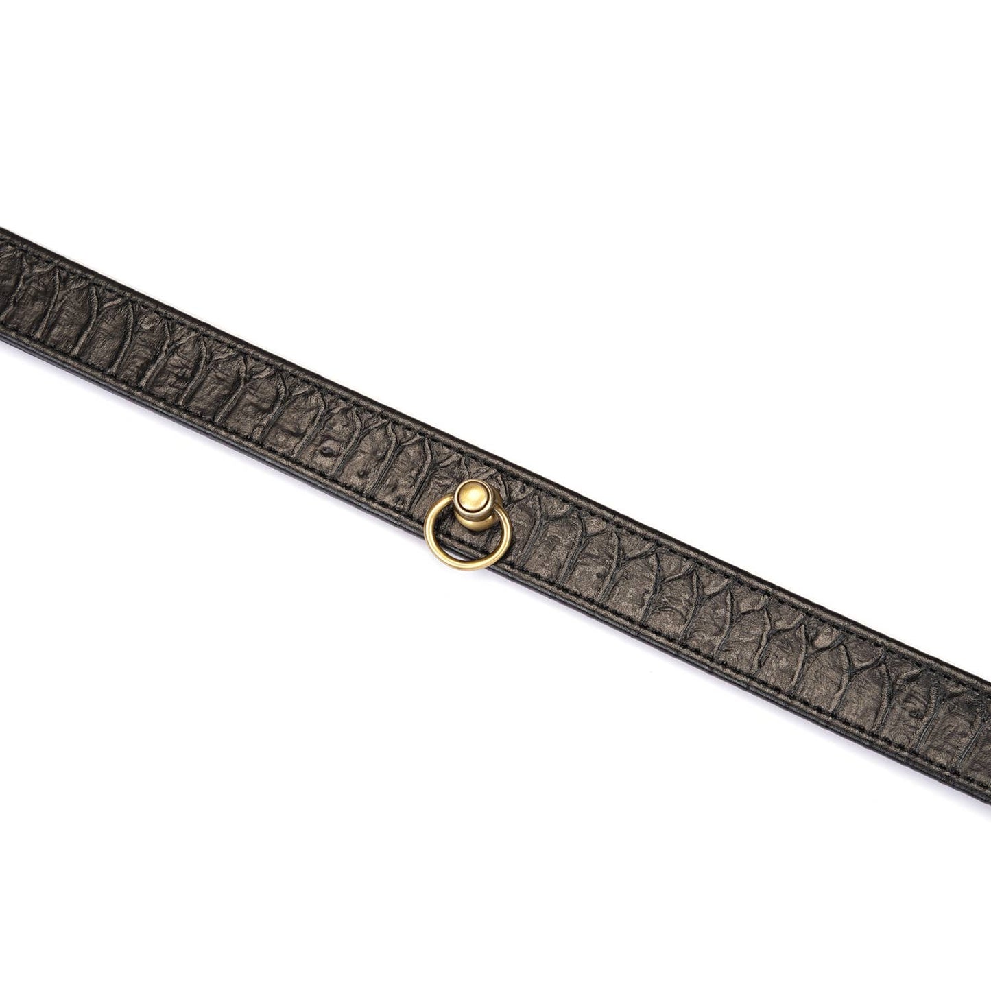 Crocodile Noir: Black Leather Collar with Chain Leash