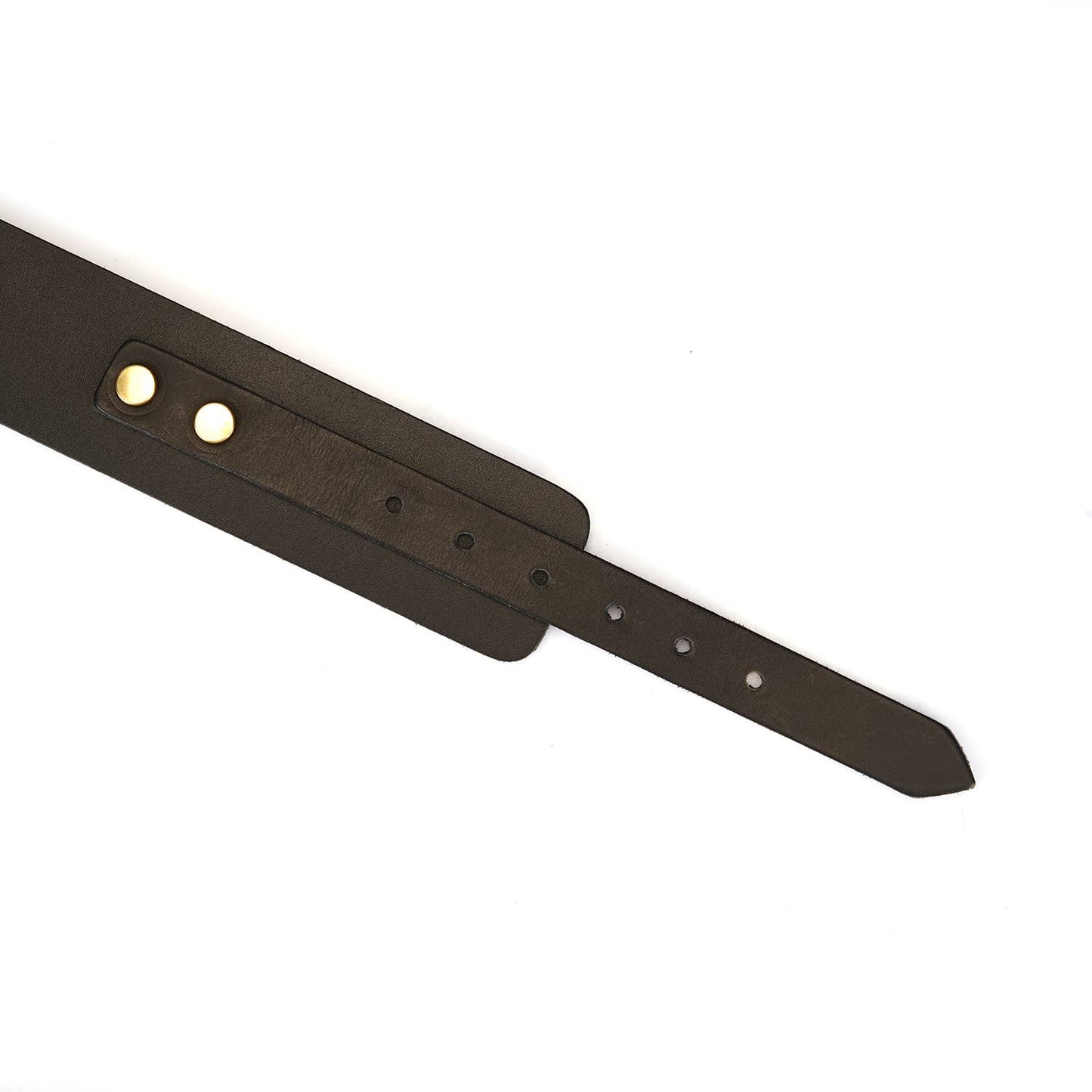 Liebe Seele- Samurai Thick Leather Collar with Leash