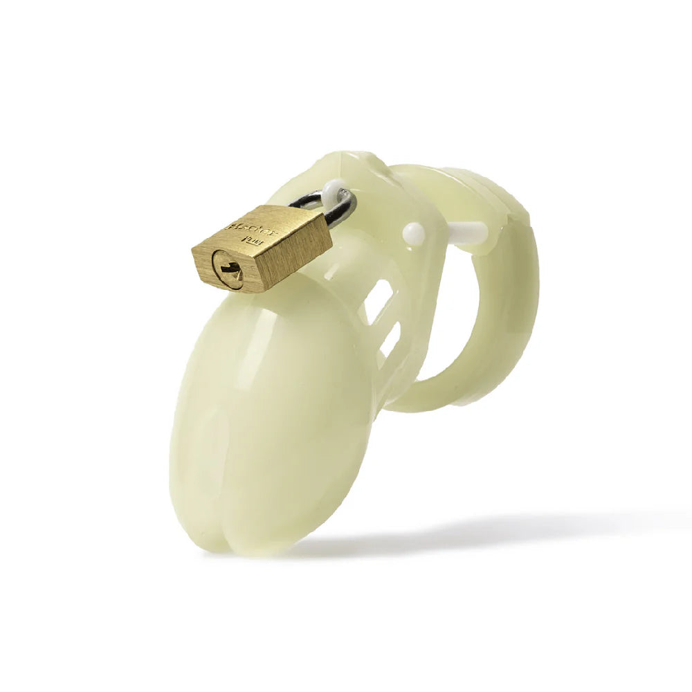 CB-6000S Glow-in-the-Dark Chastity Cage Kit by A.L.Enterprise. Inc