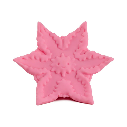 Cute Little Fuckers Starsi Rose by Quierdo LLC