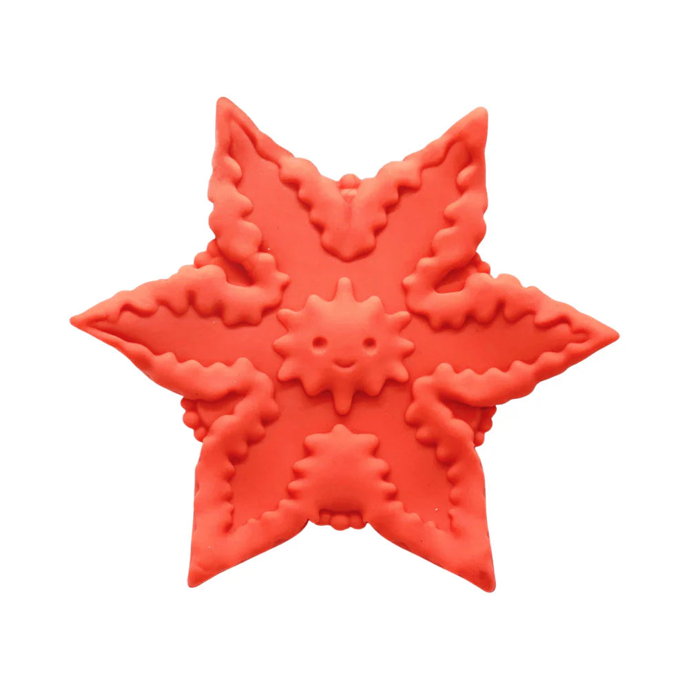 Cute Little Fuckers Starsi Coral by Quierdo LLC