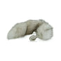 Crystal Delights Minx Faux Fur Tail Plug Husky by Crystal Delights LLC