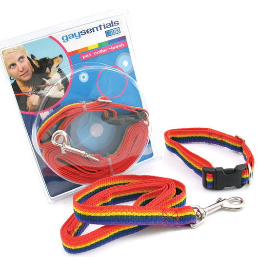GS Pet Combo Leash/Collar (Medium) by PHS International