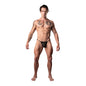 Male Power Show Stopper Posing Strap Silver Mesh Dot O/S by Male Power