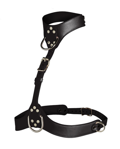 Vixen Female Chest Harness - Black by Xr llc