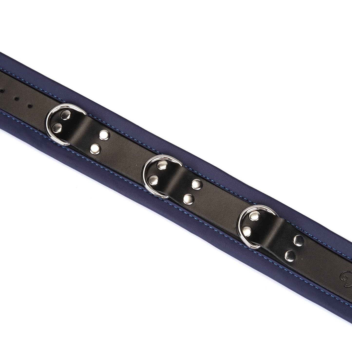 Liebe Seele- Dominion: Blue Leather Collar with Chain Leash