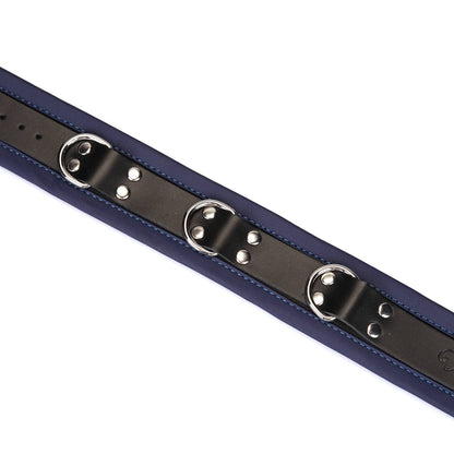 Liebe Seele- Dominion: Blue Leather Collar with Chain Leash