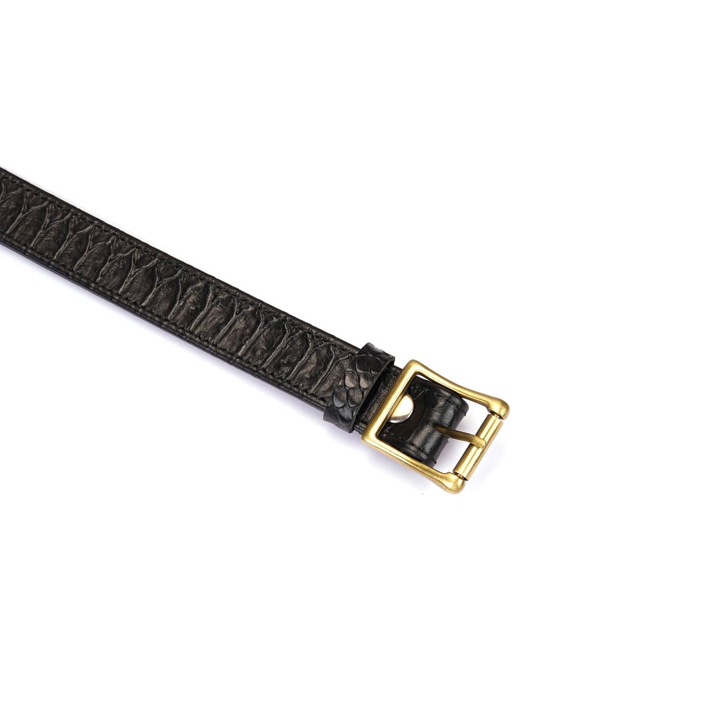 Crocodile Noir: Black Leather Collar with Chain Leash
