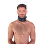 Prowler RED Leather Lockable Collar L/XL by Simply Pleasure Ltd