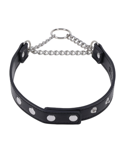 Sex & Mischief Shadow Day Collar
