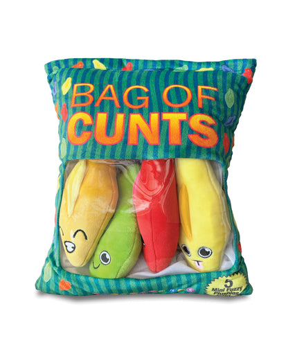 Bag of Cunts Pillow - Multi Colors by Little Genie