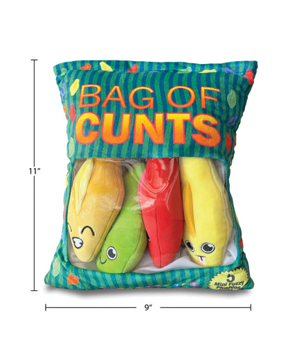Bag of Cunts Pillow - Multi Colors by Little Genie