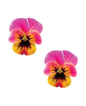 Neva Nude Flower Pansy Blacklight Pasties - Multicolor O/S by Neva Nude
