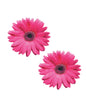 Neva Nude Freaking Awesome Driving Miss Daisy Pasties - Pink O/S by Neva Nude