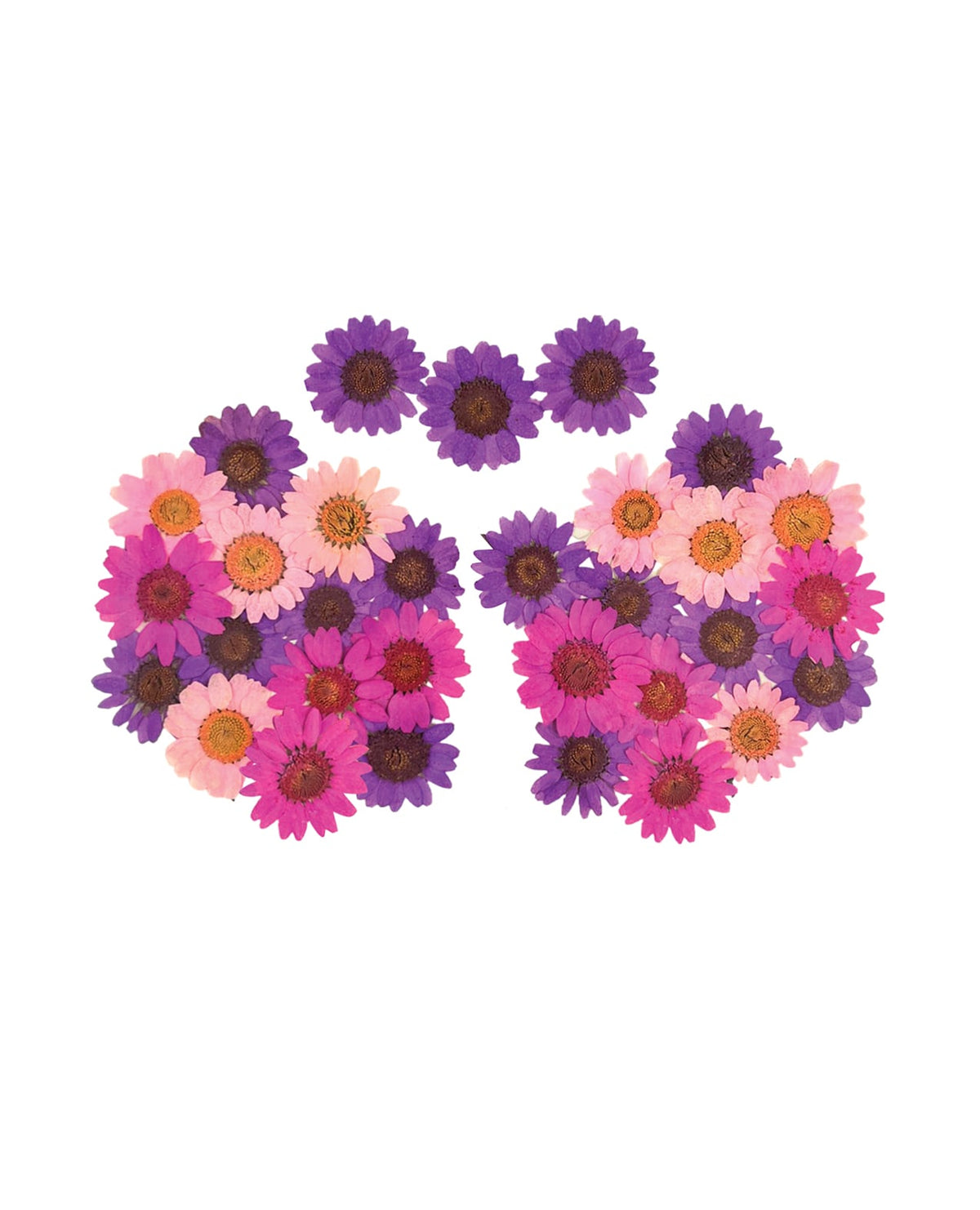Neva Nude Garden Goddess Real Dried Pressed Flower Pasties - Pink O/S by Neva Nude