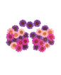 Neva Nude Garden Goddess Real Dried Pressed Flower Pasties - Pink O/S by Neva Nude