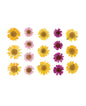 Neva Nude Indio Empress Real Dried Pressed Flower Face & Body Stickers - Yellow O/S by Neva Nude