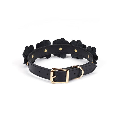 Liebe Seele- Black Leather Flowers Collar with Leash