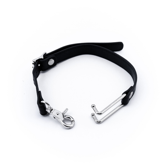 Black Leather and Silver Nose Hook