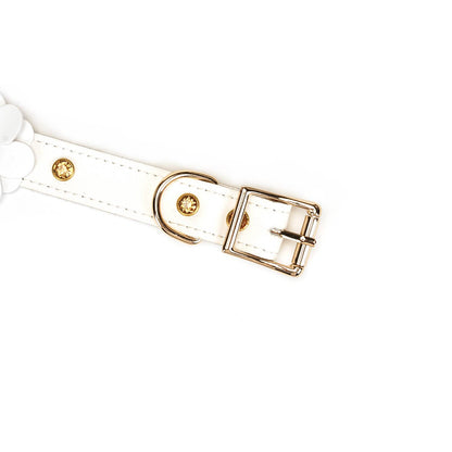 White Leather Flowers Collar with Leash