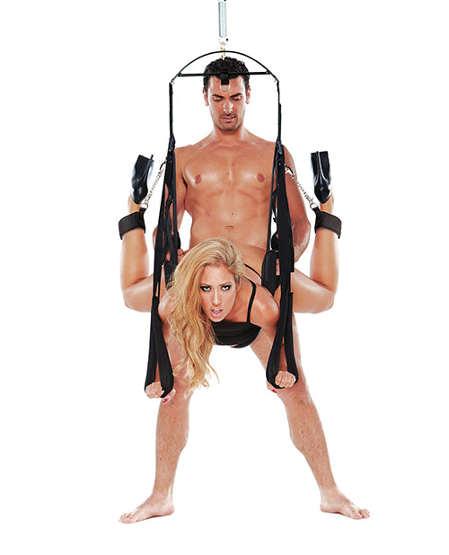 WhipSmart Pleasure Swing