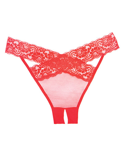 Adore Sheer & Lace Desire Panty O/s