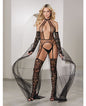 Private Dancer Gartered Teddy w/Thigh High Stocking & Detachable Train Black