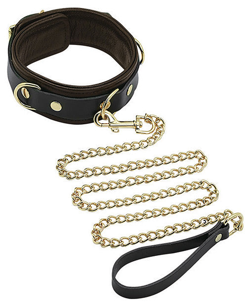 Spartacus Collar & Leash - Brown Leather w/Gold Accent Hardware by Spartacus