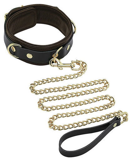 Spartacus Collar & Leash - Brown Leather w/Gold Accent Hardware by Spartacus