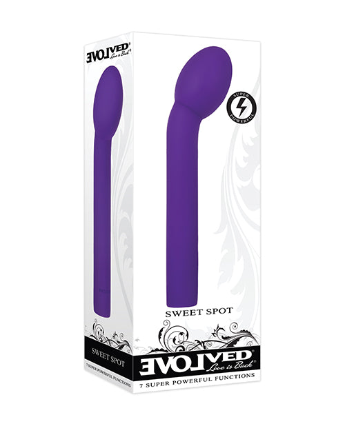Evolved Sweet Spot - Purple by Evolved Novelties INC