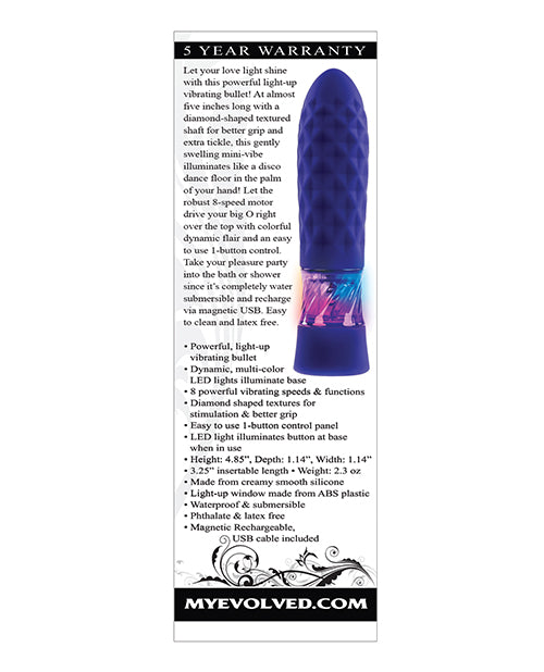 Evolved Raver Light Up Bullet - Purple by Evolved Novelties INC