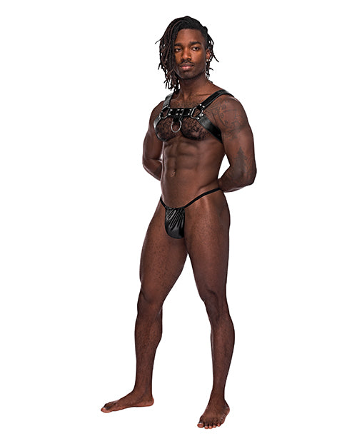 Leather Aries Single Ring Harness Black O/S