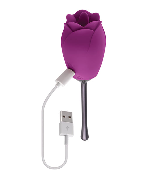 Playboy Pleasure Petal Vibrator - Wild Aster by Evolved Novelties INC