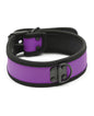 Plesur Neoprene Puppy Collar -