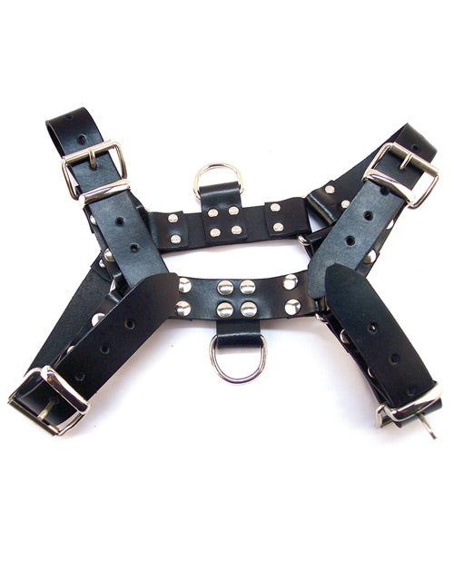 Rouge Over The Head Harness