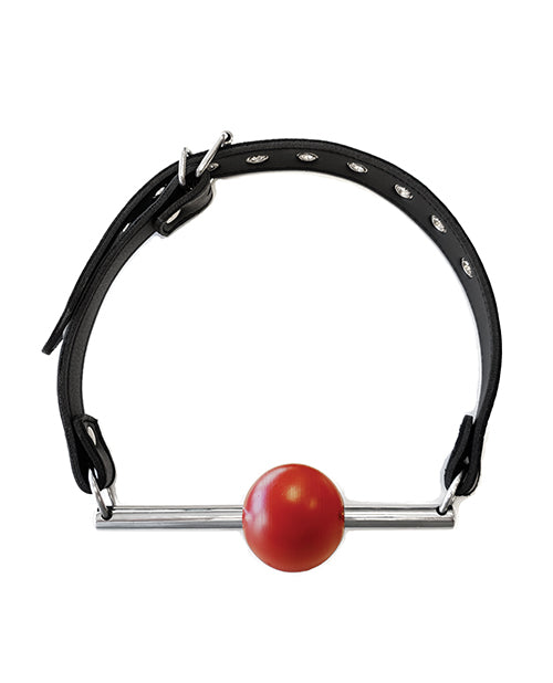 Rouge Leather Ball Gag with Stainless Steel Rod and Removable Ball - Black with Red by Rouge Group Ltd