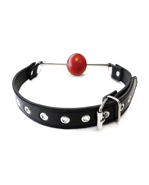 Rouge Leather Ball Gag with Stainless Steel Rod and Removable Ball - Black with Red by Rouge Group Ltd