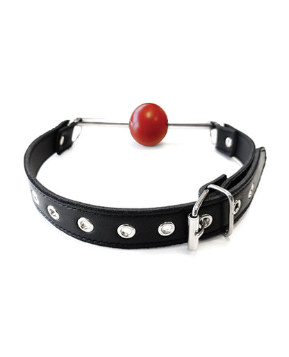 Rouge Leather Ball Gag with Stainless Steel Rod and Removable Ball - Black with Red by Rouge Group Ltd