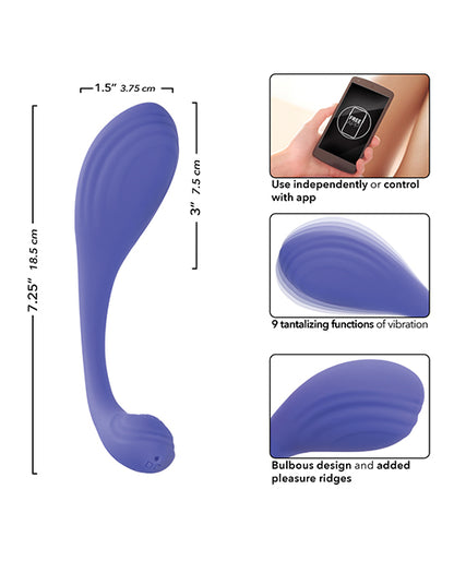 Connect App Based Kegel Exerciser