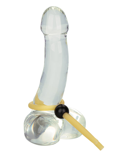 The Lasso Erection Keeper - Ivory by California Exotic Novelties