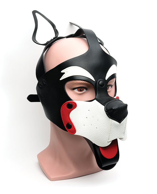 665 Playful Pup Hood.