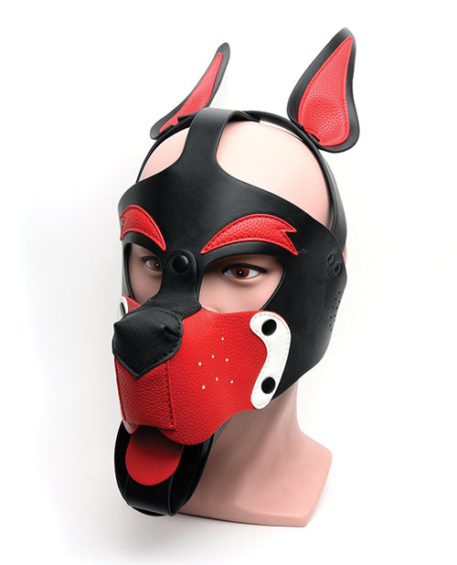 665 Playful Pup Hood.